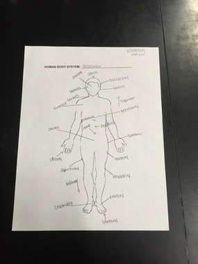 Unit One - Life Science Academy:Human Body Systems